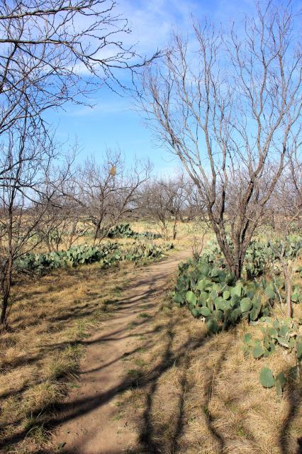 Along Dinosaur Trail