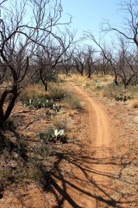 Badlands Trail Beginning
