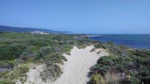 Sandy conditions