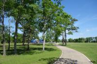 View Of The Trail