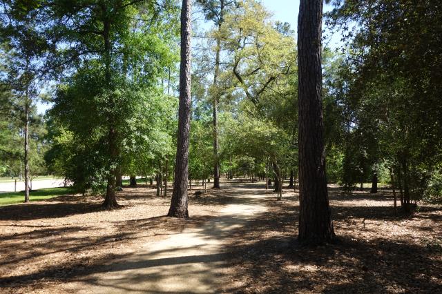 Another View Of The Trail