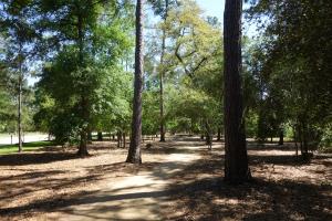 Another View Of The Trail