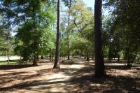 Another View Of The Trail