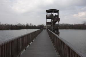 Observation Tower