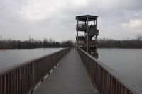 Observation Tower