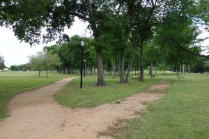 View Of The Trail