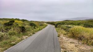 Trail View