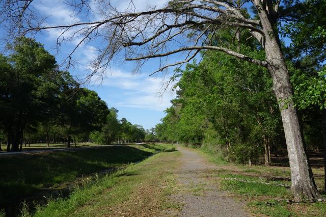 Another View Of The Trail