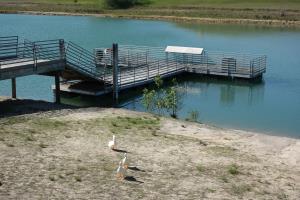 Fishing Pier