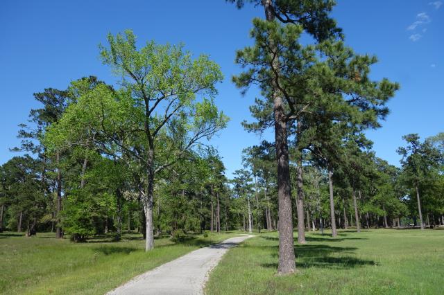 Another View Of The Trail