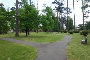 View Of The Trail