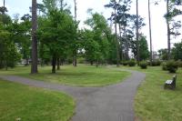 View Of The Trail