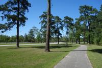 View Of The Trail