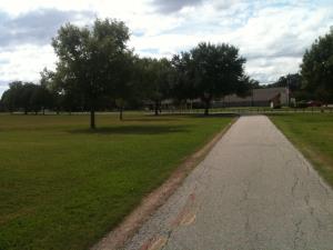 Trail