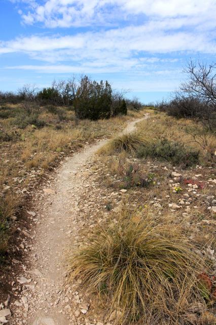 Lanky Lackey Trail