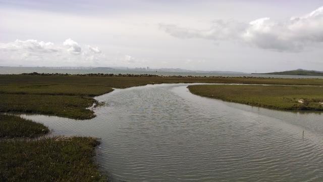Wetlands