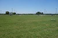 Athletic Fields