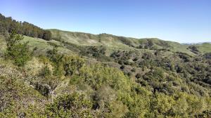 Scenic Hillside
