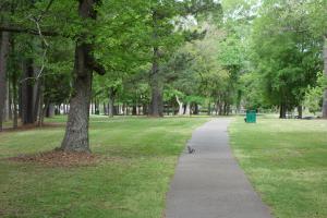 Another View Of The Trail
