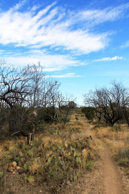 South Shore Tasajillo Flats Trail