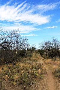 South Shore Tasajillo Flats Trail