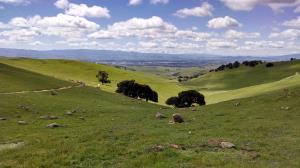 Livermore vista