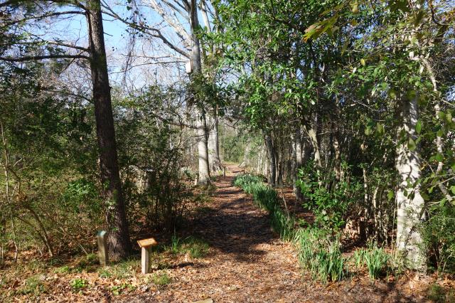 Another View Of The Trail
