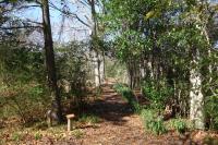 Another View Of The Trail