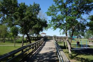 Another View Of The Trail