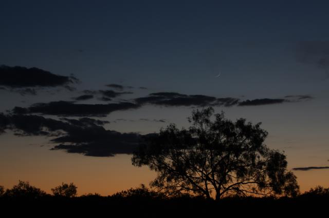 Night Falling at the Park