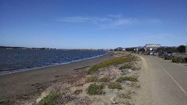 Trail View