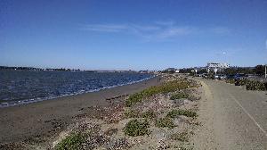 Trail View