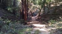 Creek side
