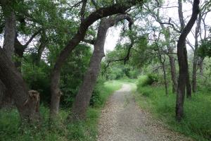 View Of The Trail