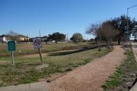 View Of The Trail