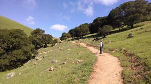 Coppertone on Brushy Peak Loop Trail