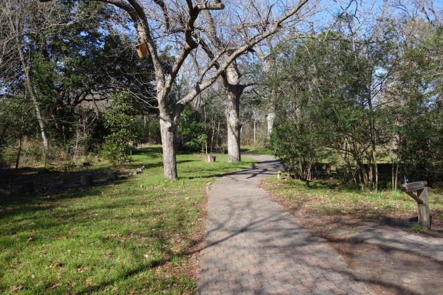 View Of The Trail