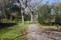 View Of The Trail