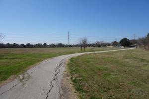 Another View Of The Trail