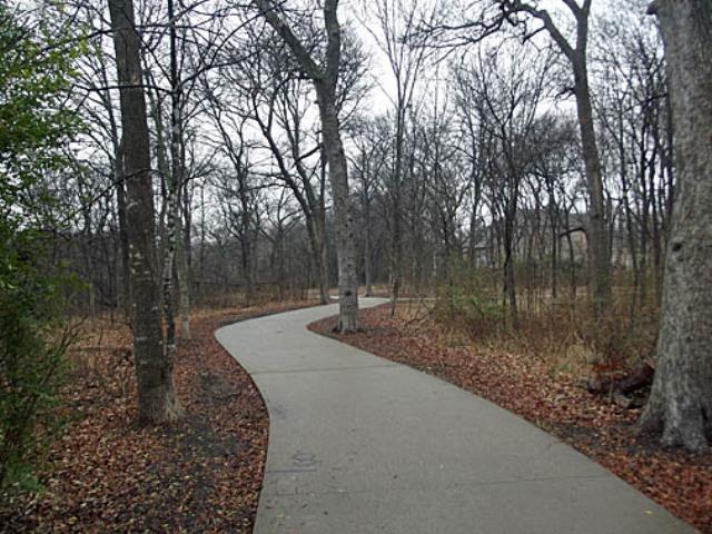 View of the Trail