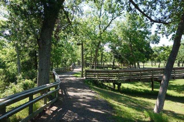 View Of The Trail