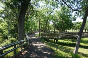 View Of The Trail