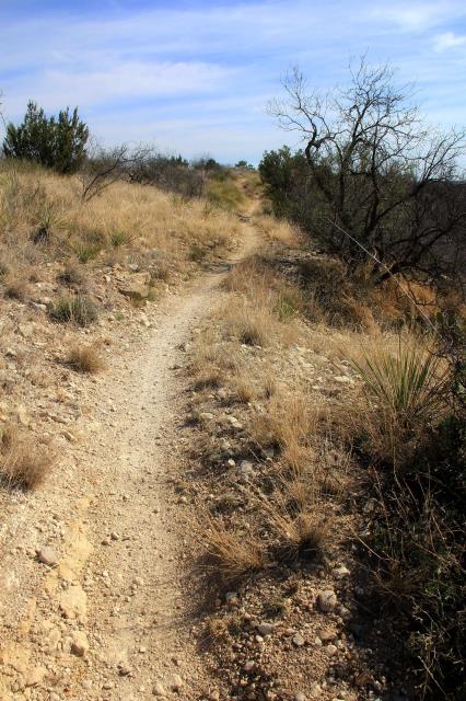 Playground Trail to Bell's Point
