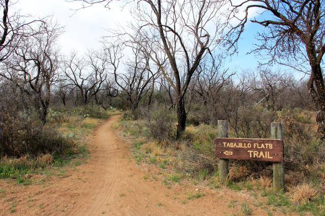 South Shore Tasajillo Trail start