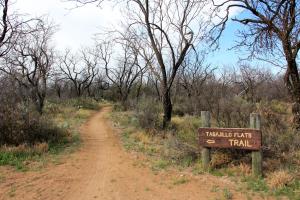 South Shore Tasajillo Trail start