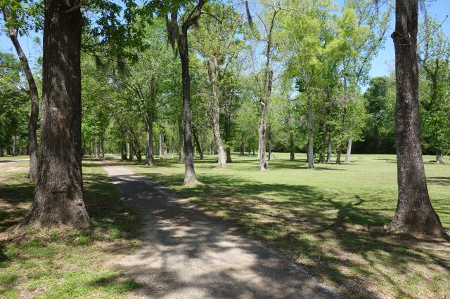View Of The Trail