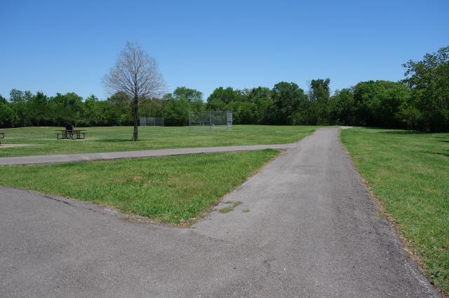 View Of The Trail