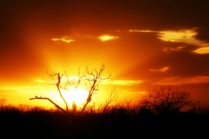 Sunrise at the Park