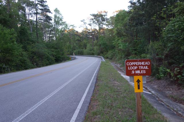Another View Of The Trail