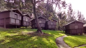 Camp Shelters